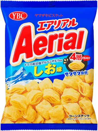 エアリアル ドイツ産岩塩アルペンザルツ使用しお味